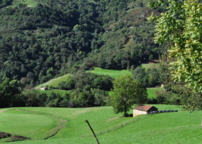 Casa Rural en Sella Asturias