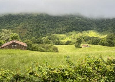 Paisaje cerca de Cazo, Ponga. Asturias. Picos de Europa